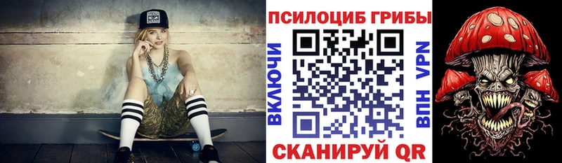Псилоцибиновые грибы Cubensis  где продают   Каспийск 