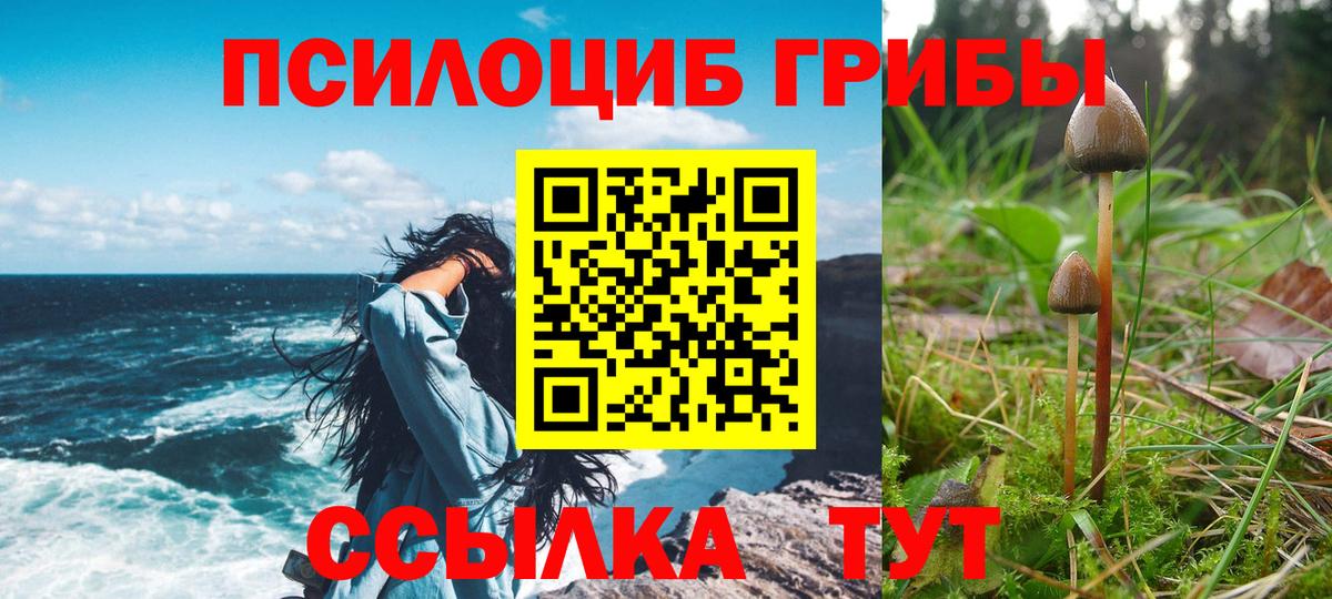 купить наркотики сайты  Галлюциногенные грибы MAGIC MUSHROOMS  Вход с VPN  Псилоцибиновые грибы Cubensis  Каспийск 