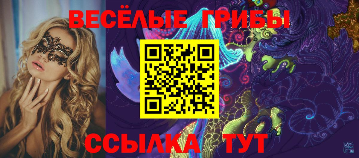 Псилоцибиновые грибы Psilocybe Каспийск