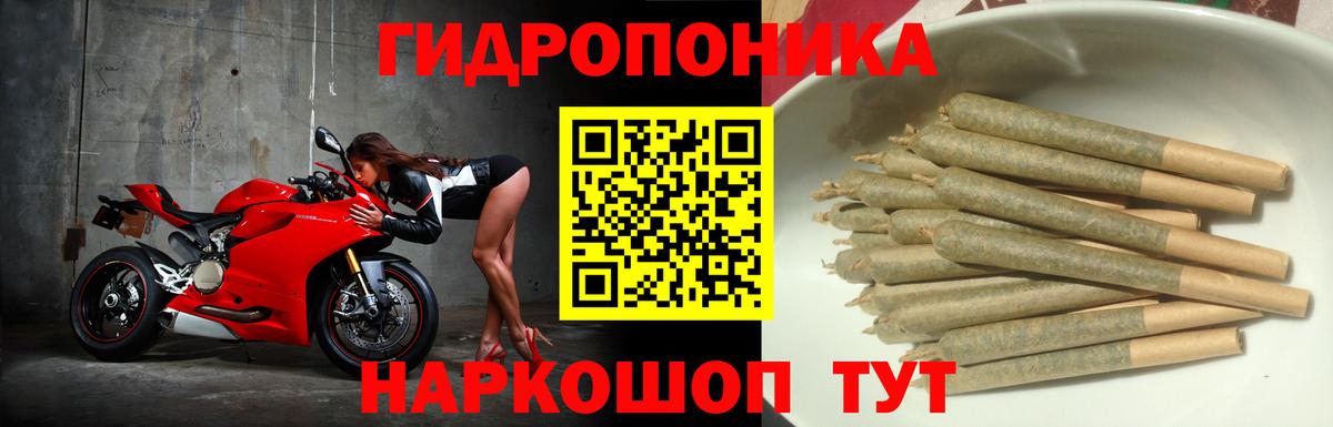 МАРИХУАНА гибрид Каспийск